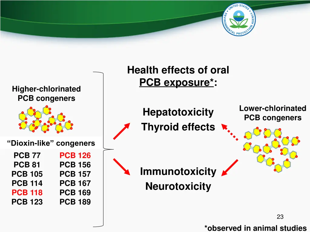 health effects of oral pcb exposure