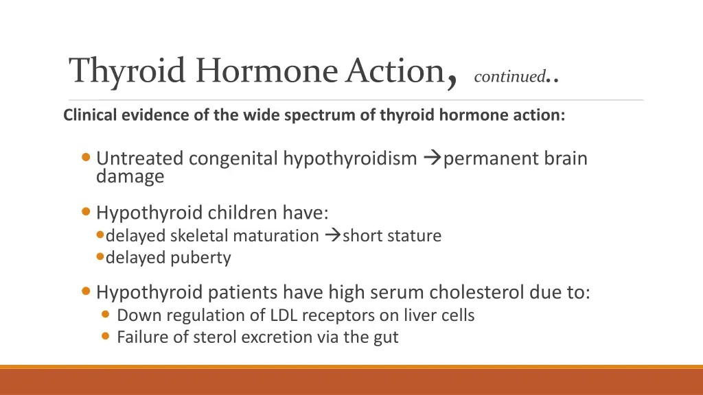 thyroid hormone action continued