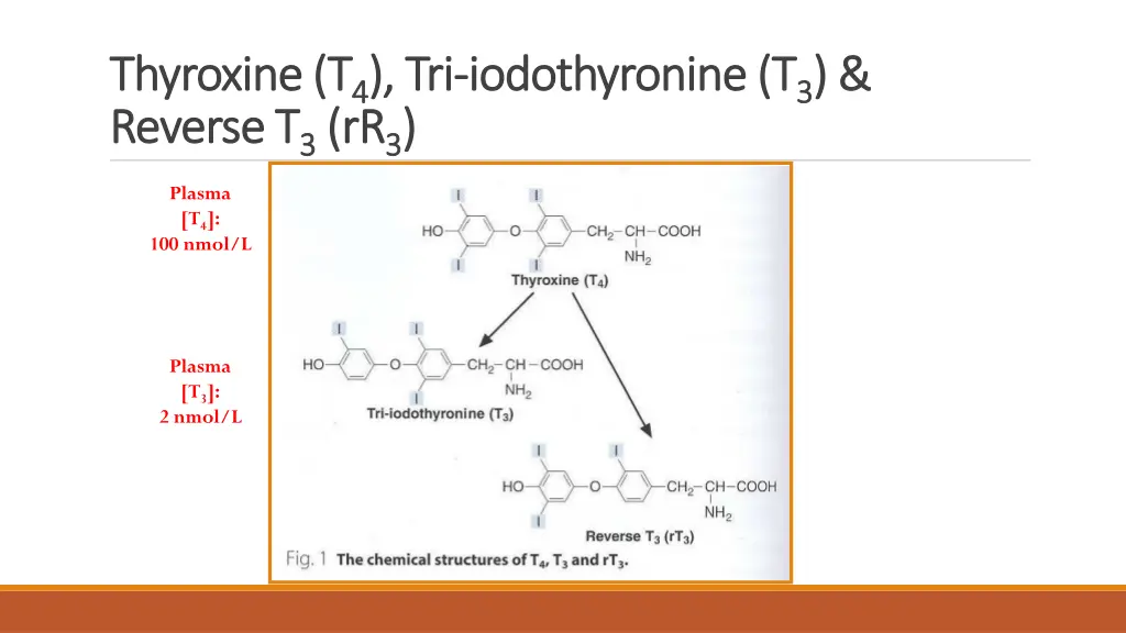 thyroxine thyroxine t t 4 4 tri reverse t reverse