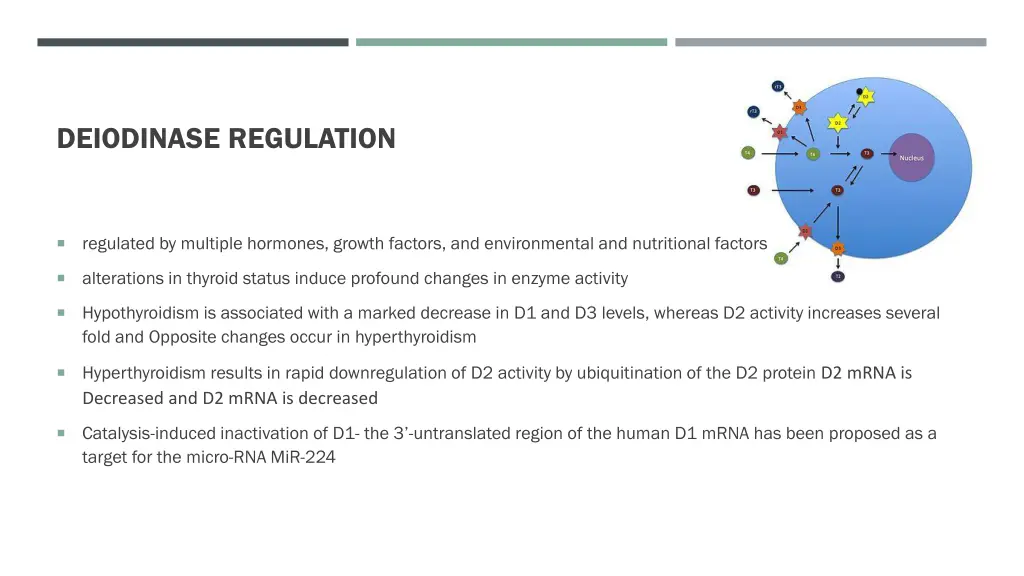 deiodinase regulation