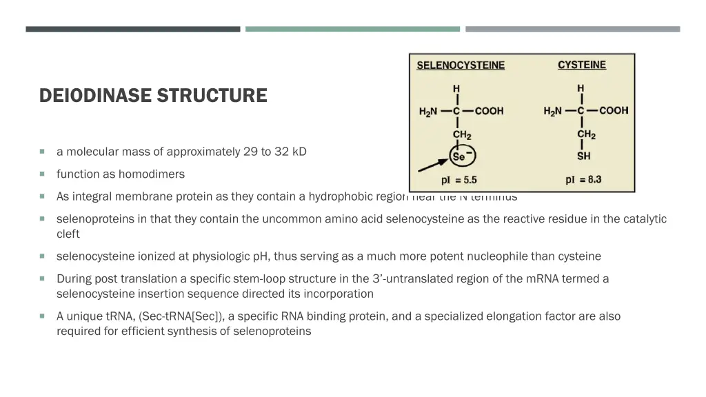 deiodinase structure