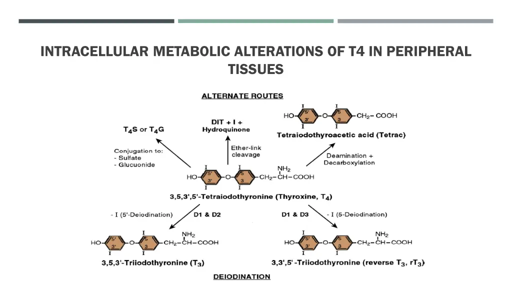 intracellular metabolic alterations