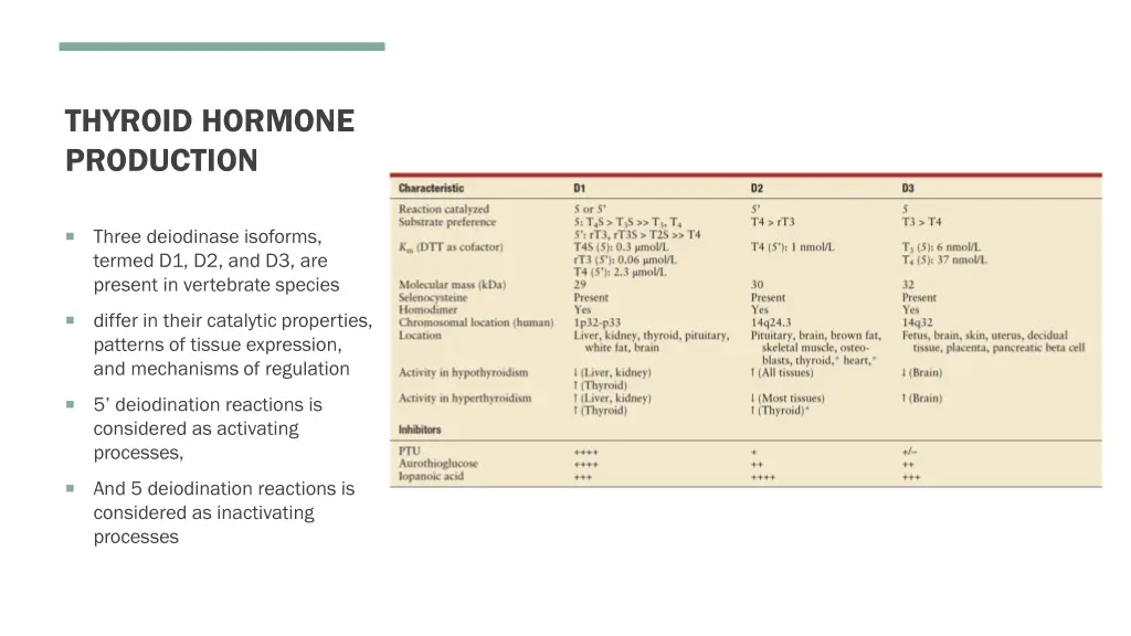 thyroid hormone production