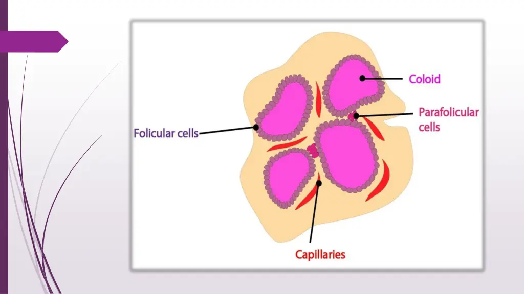 slide8