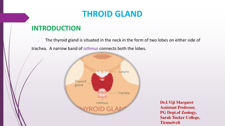 throid gland