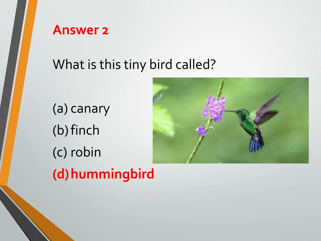 answer 2