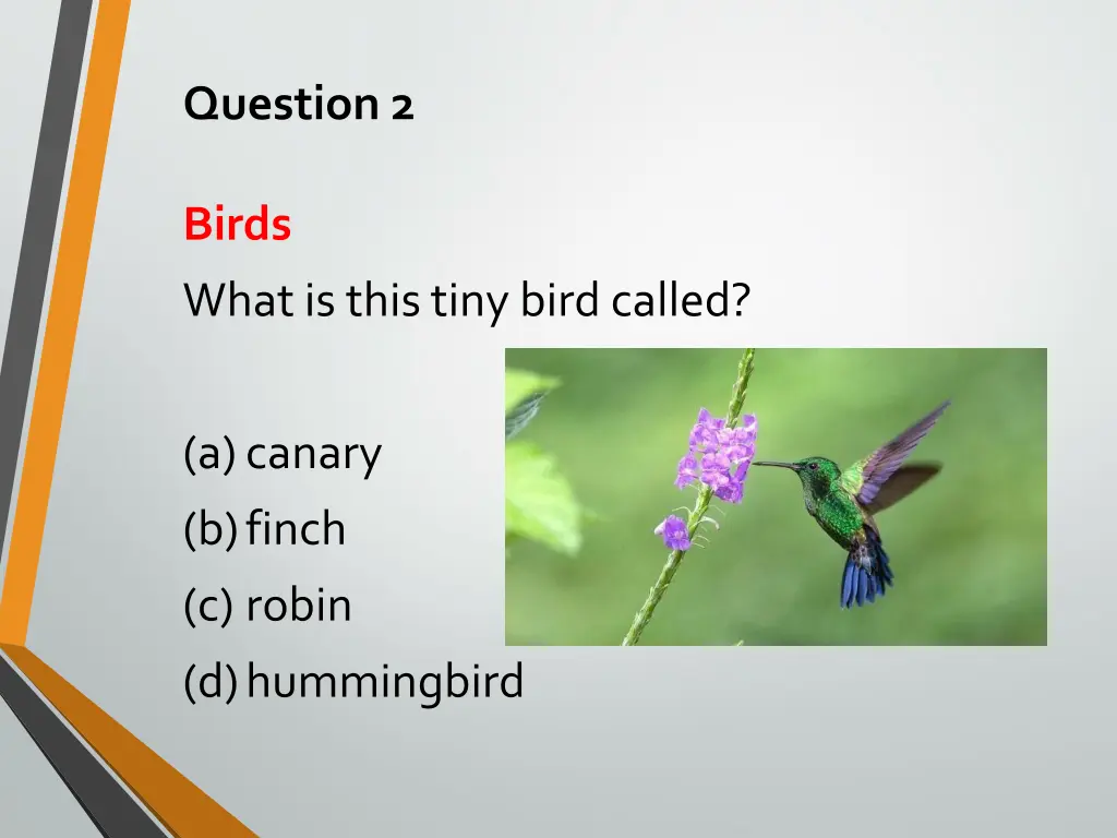 question 2