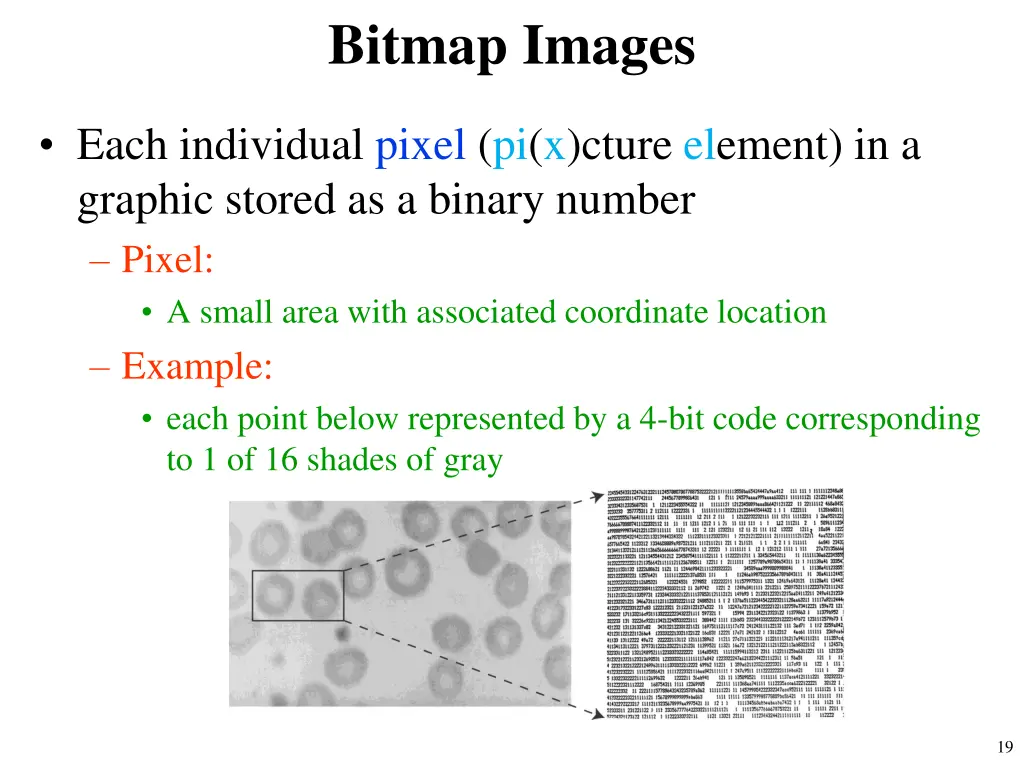 bitmap images 1