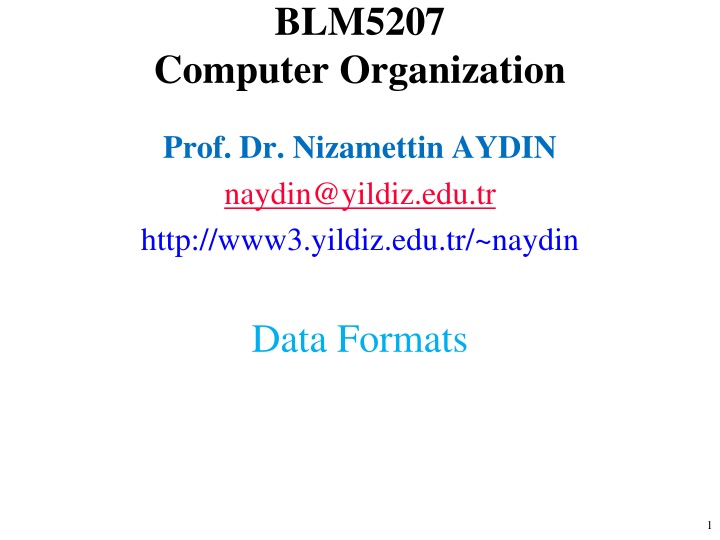 blm5207