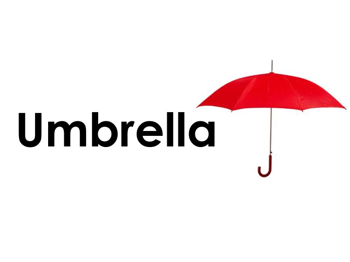 umbrella