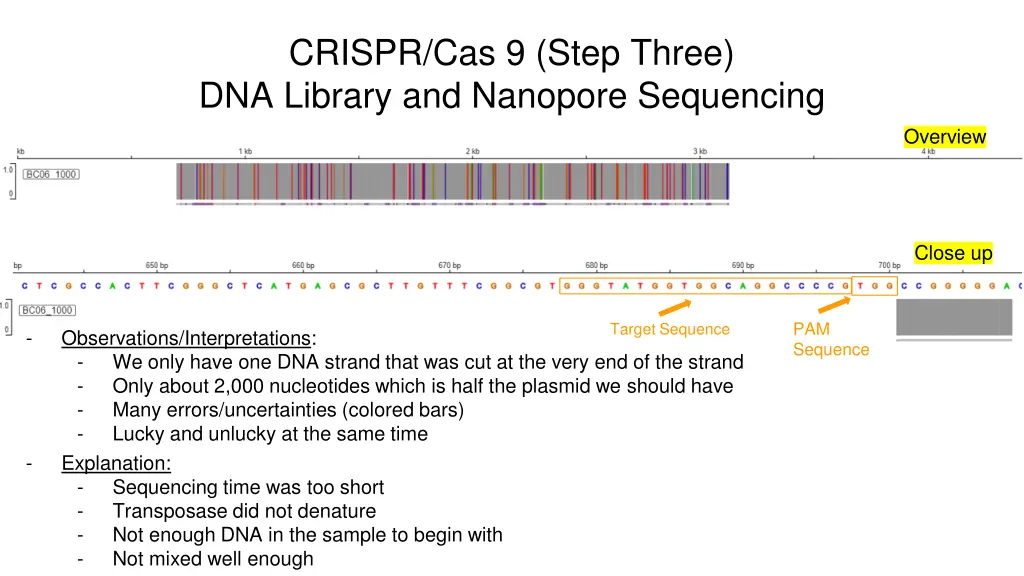 crispr cas 9 step three dna library and nanopore