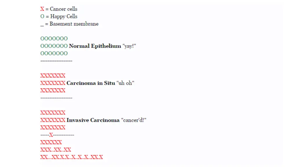 slide12