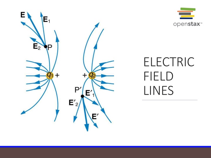 electric field lines