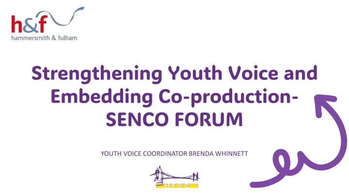 strengthening youth voice and embedding
