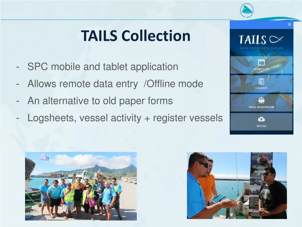 tails collection