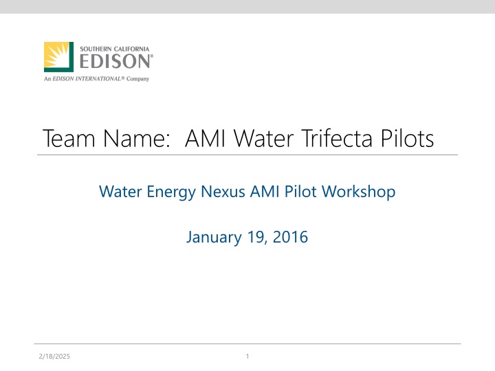 team name ami water trifecta pilots