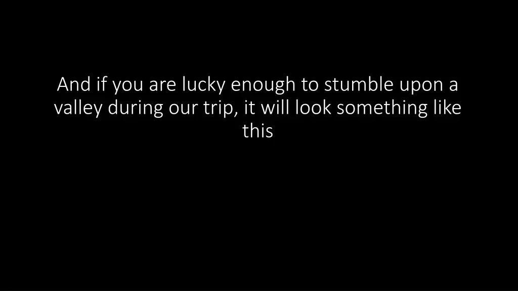 and if you are lucky enough to stumble upon