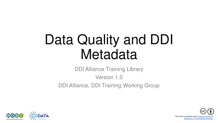 data quality and ddi metadata