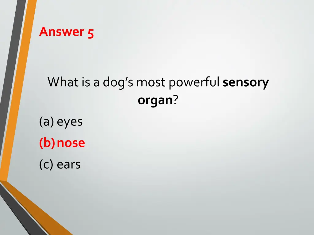 answer 5