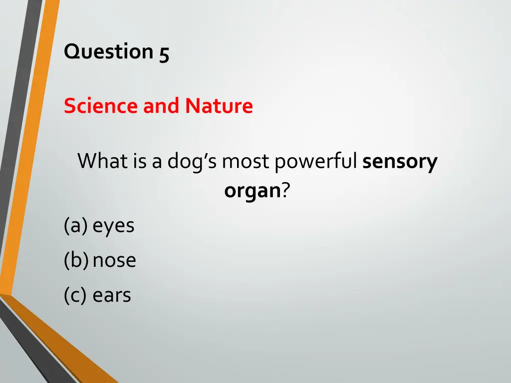 question 5
