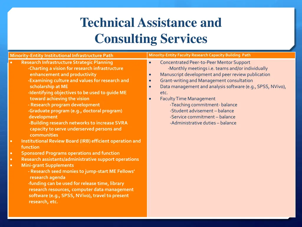 technical assistance and consulting services
