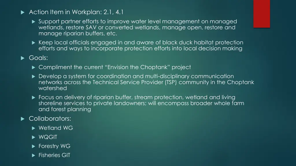 action item in workplan 2 1 4 1