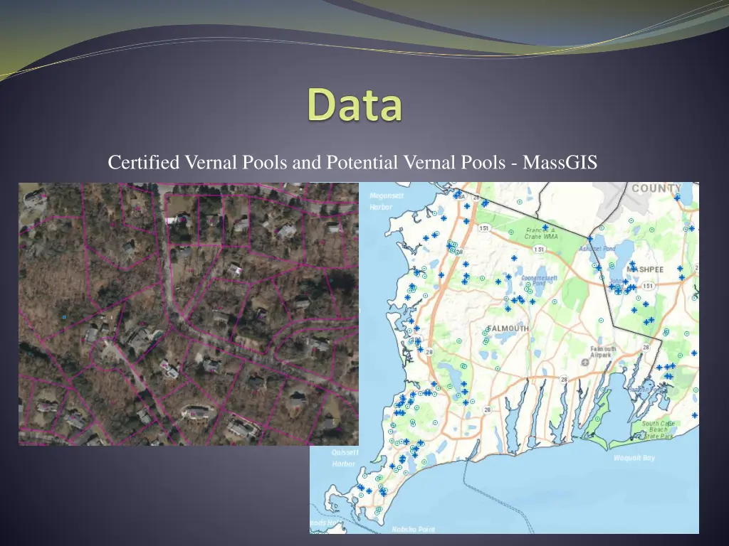 certified vernal pools and potential vernal pools
