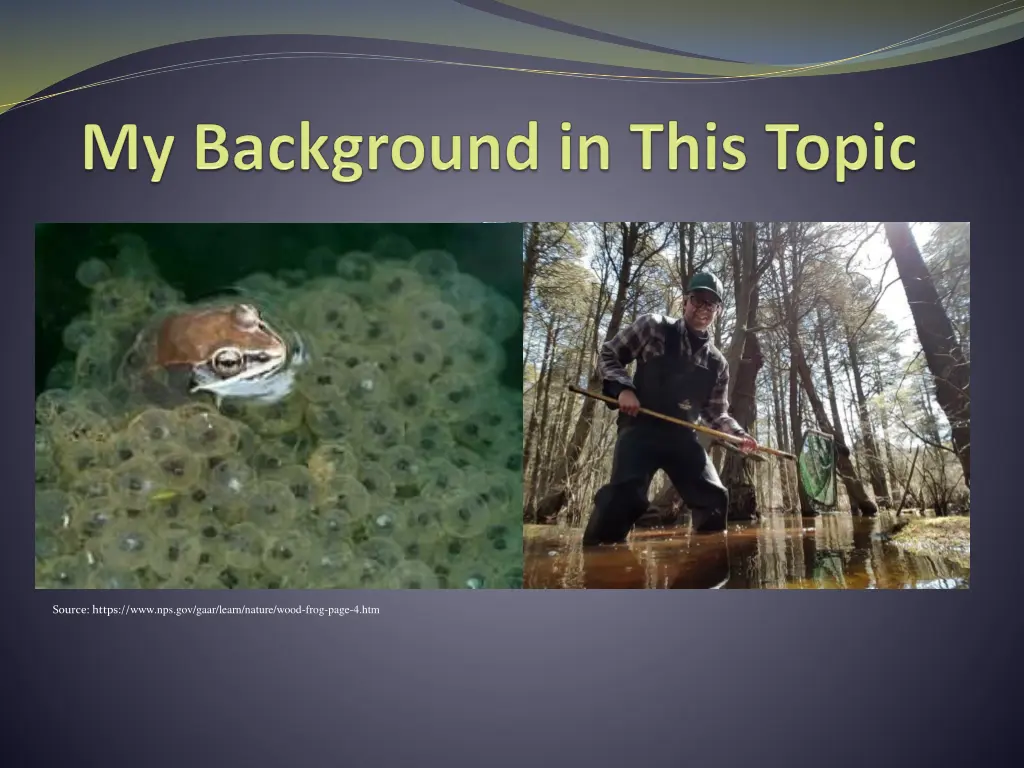 source https www nps gov gaar learn nature wood