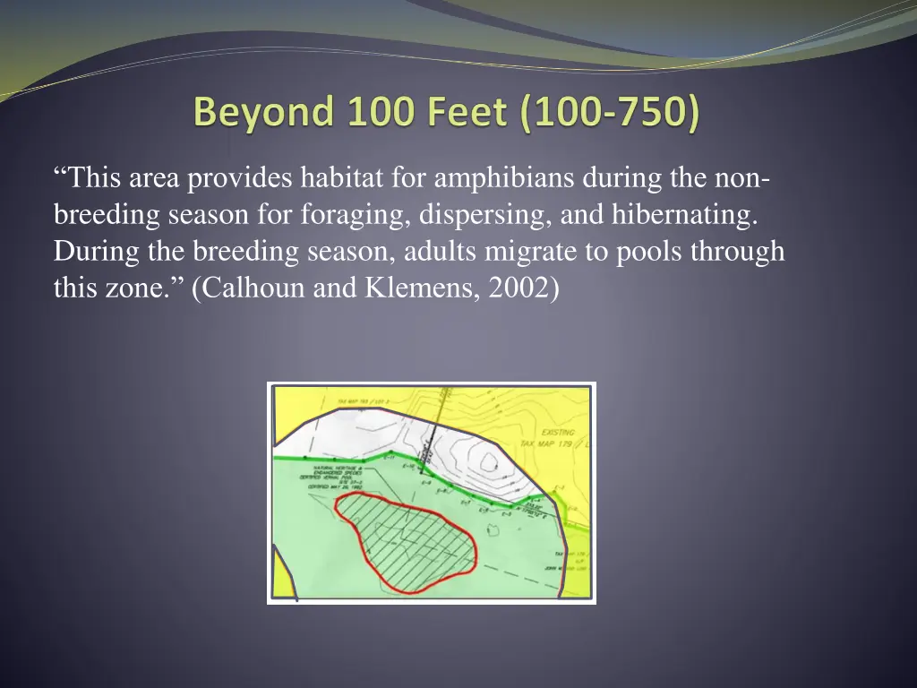 this area provides habitat for amphibians during