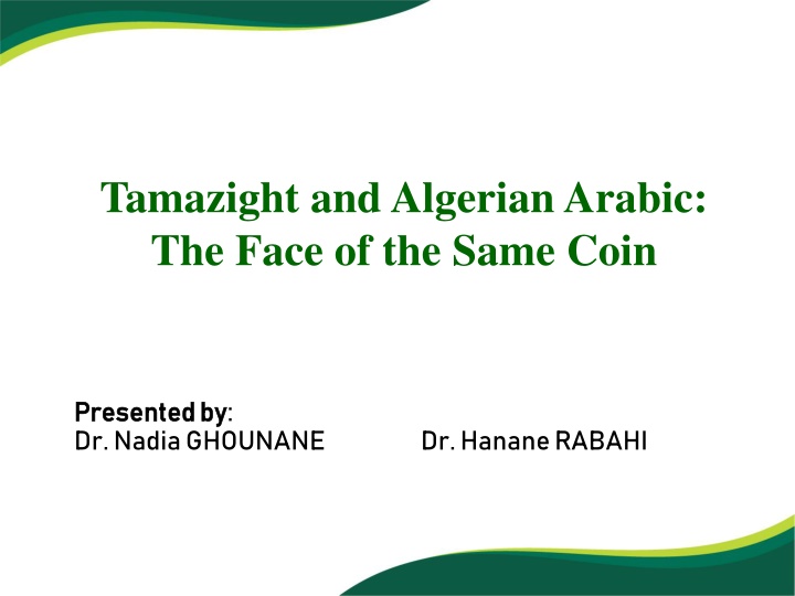 tamazight and algerian arabic the face