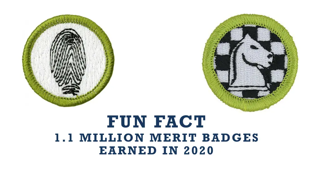 fun fact