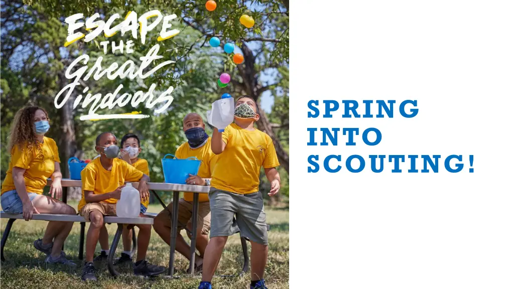 spring into scouting 1