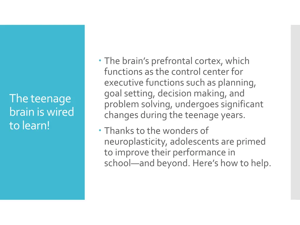 the brain s prefrontal cortex which functions