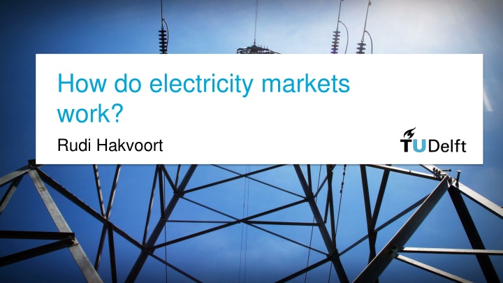 how do electricity markets work rudi hakvoort
