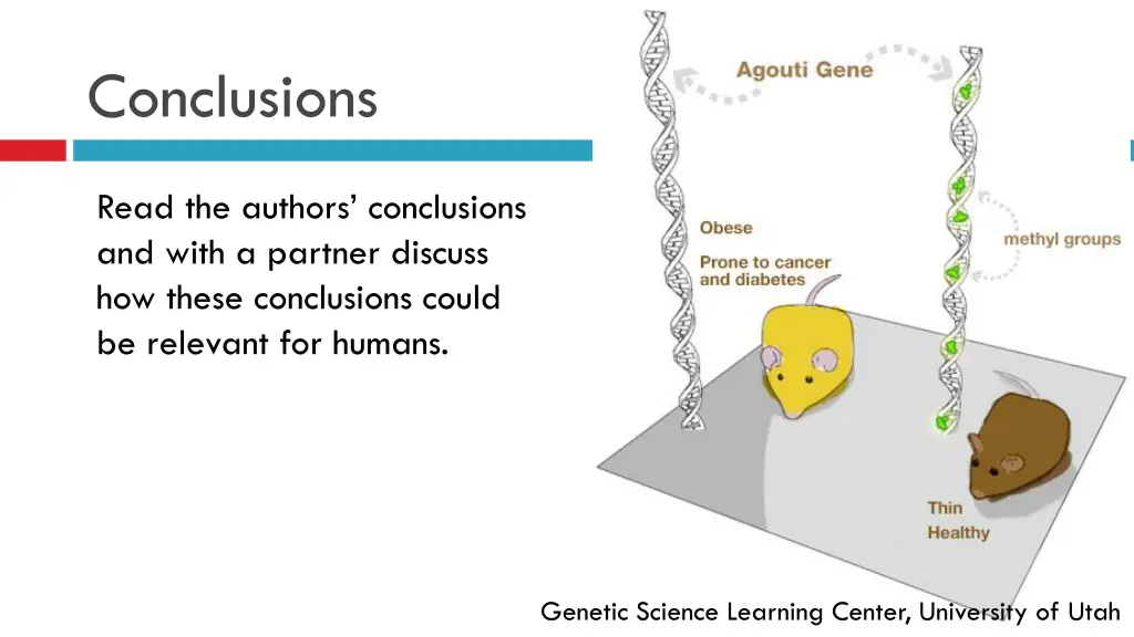 conclusions