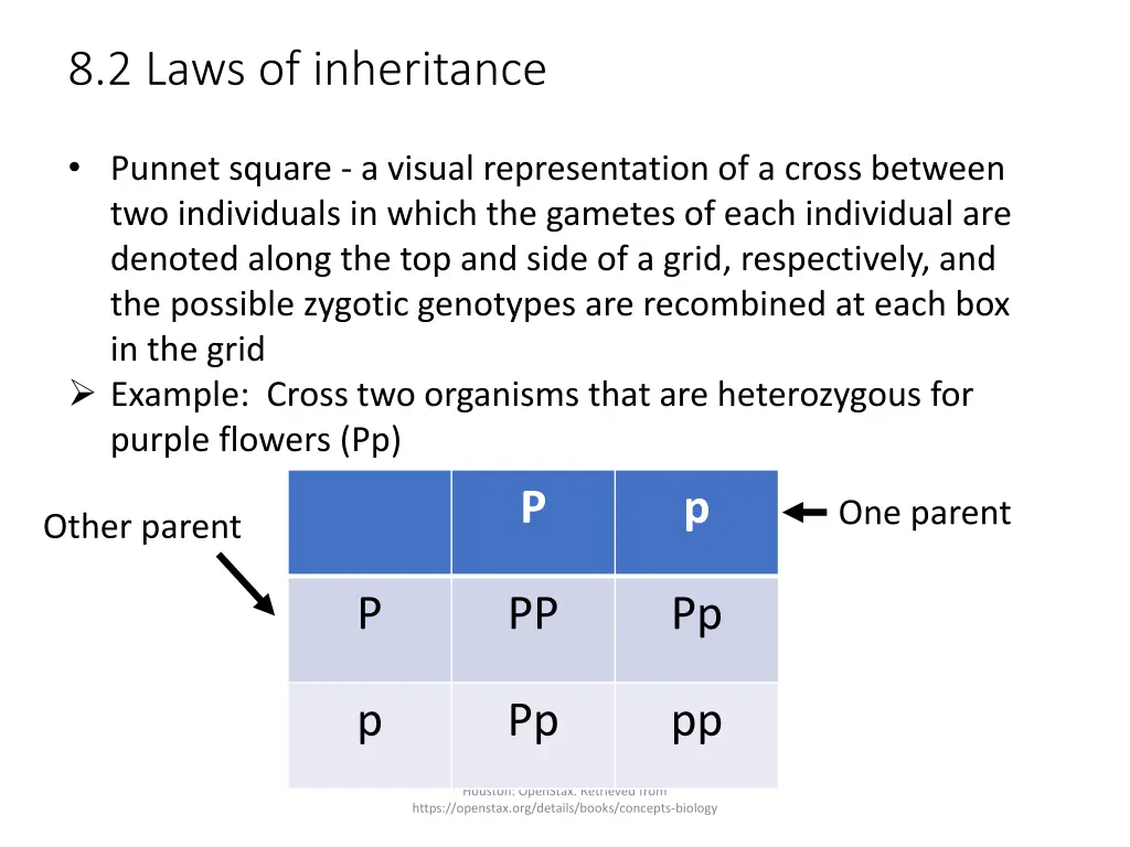 8 2 laws of inheritance 4