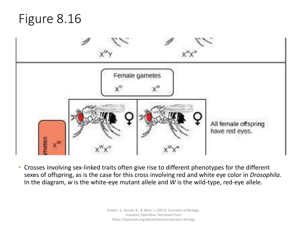 figure 8 16