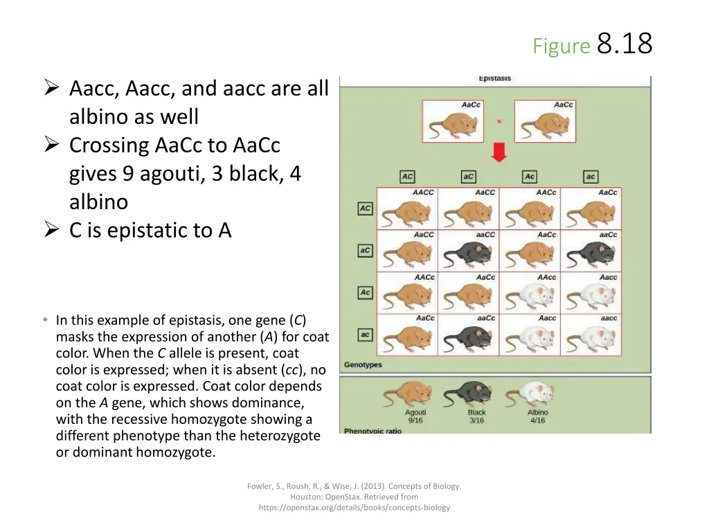 figure 8 18