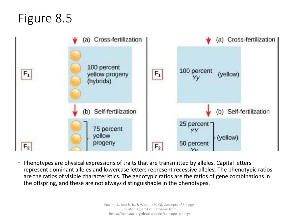 figure 8 5