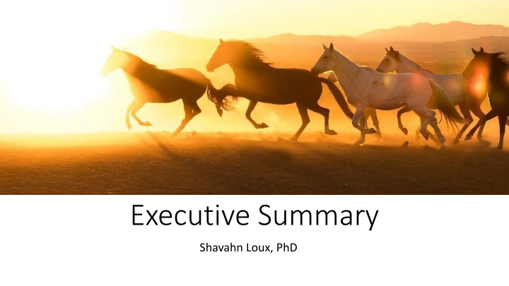 executive summary