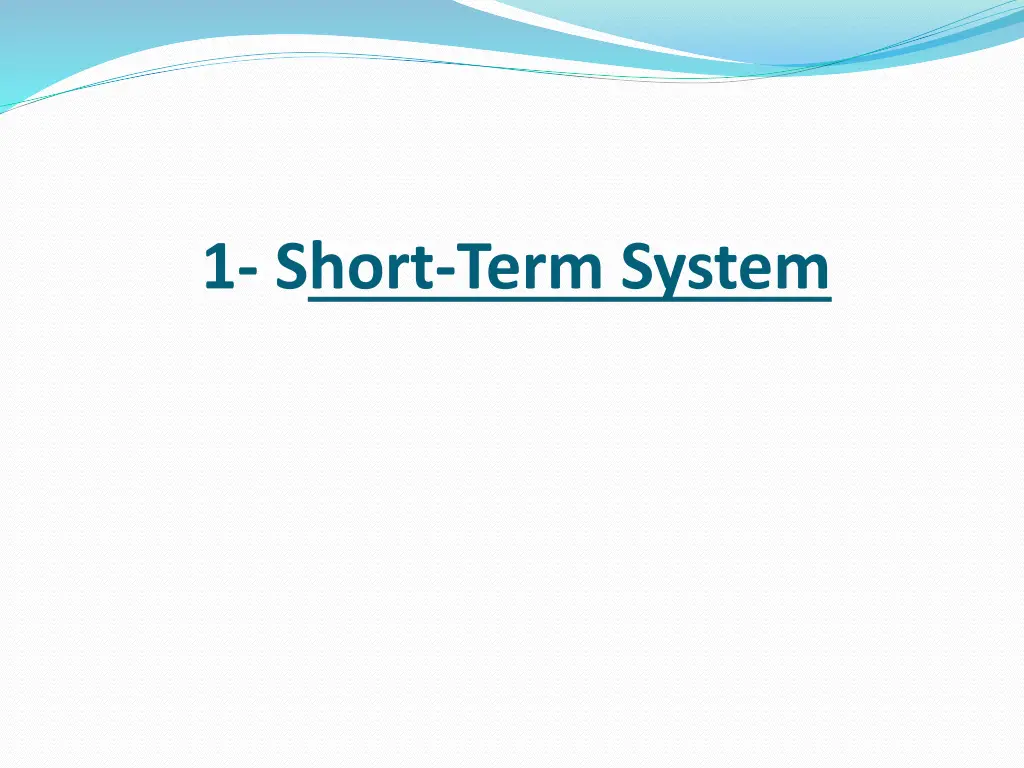 1 short term system