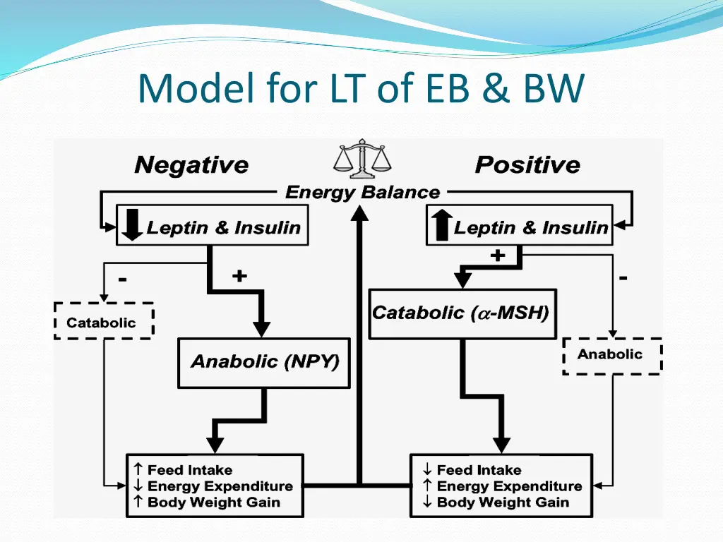 model for lt of eb bw