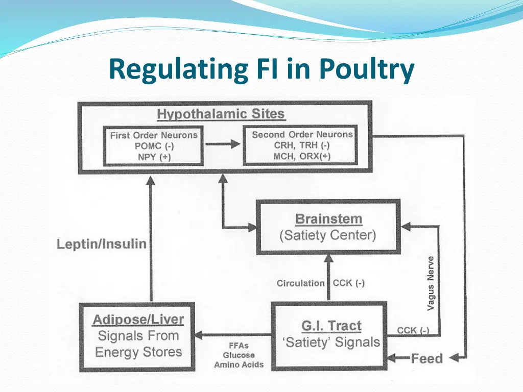 regulating fi in poultry