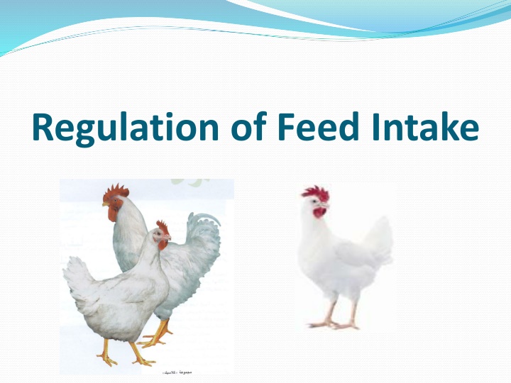 regulation of feed intake