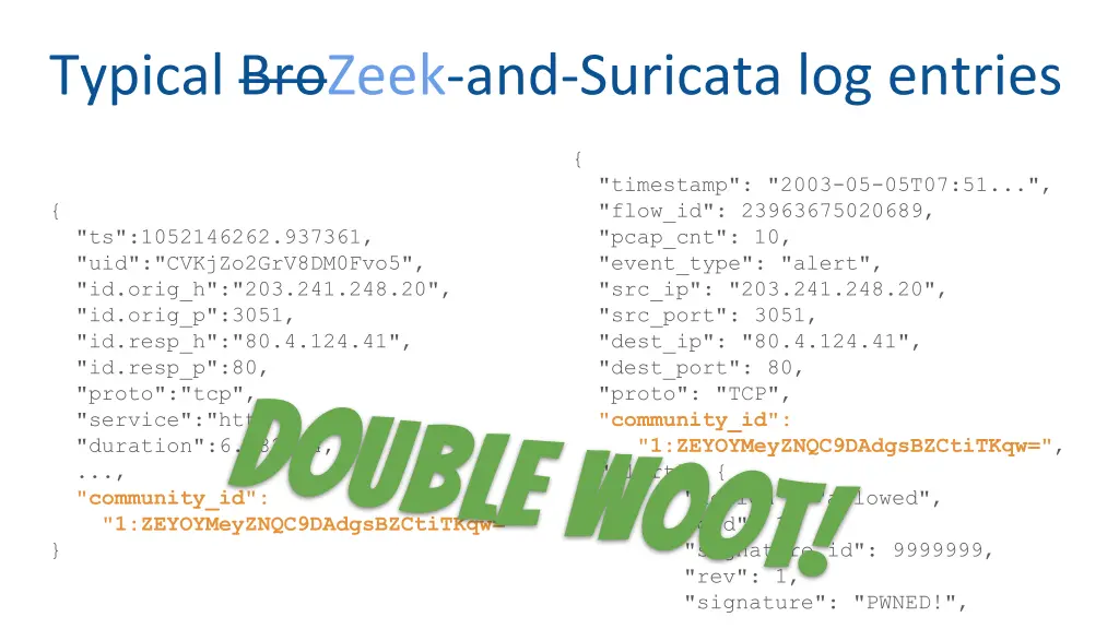 typical brozeek and suricata log entries 5