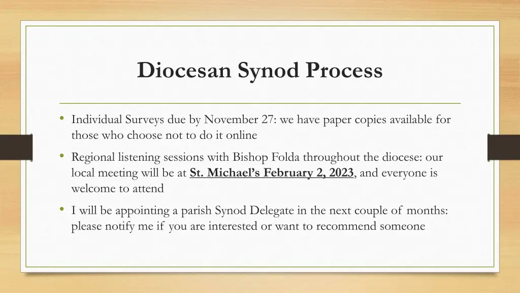 diocesan synod process