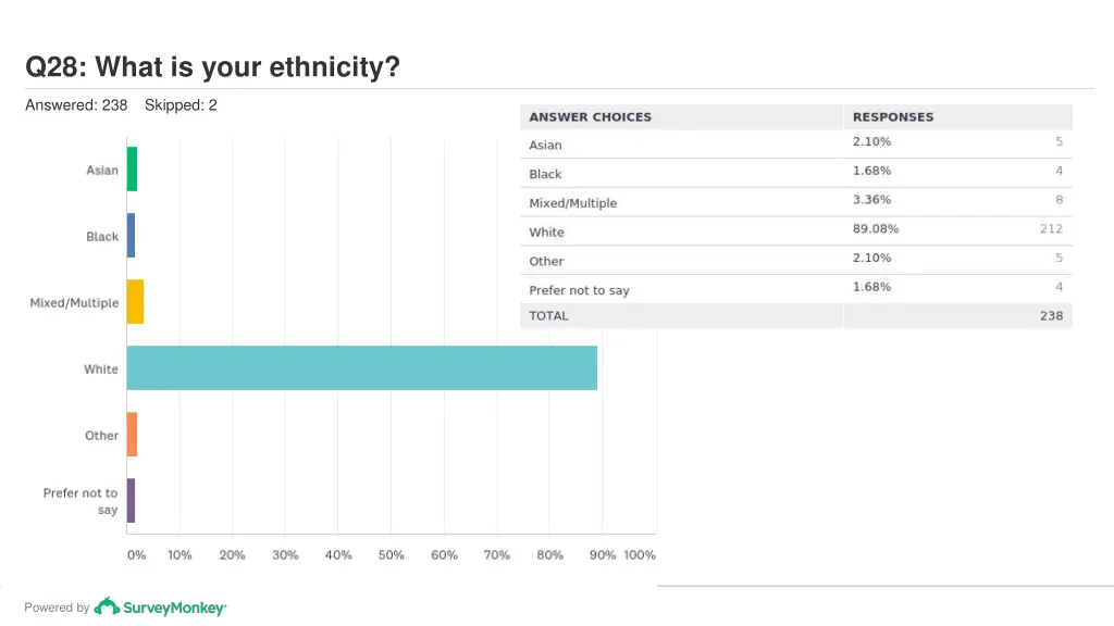 q28 what is your ethnicity
