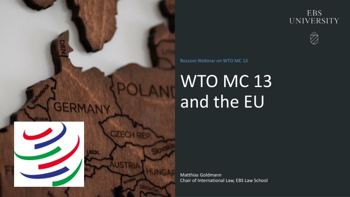 bocconi webinar on wto mc 13