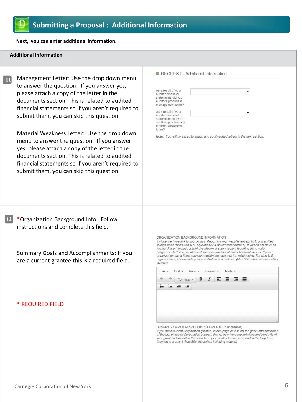 submitting a proposal additional information