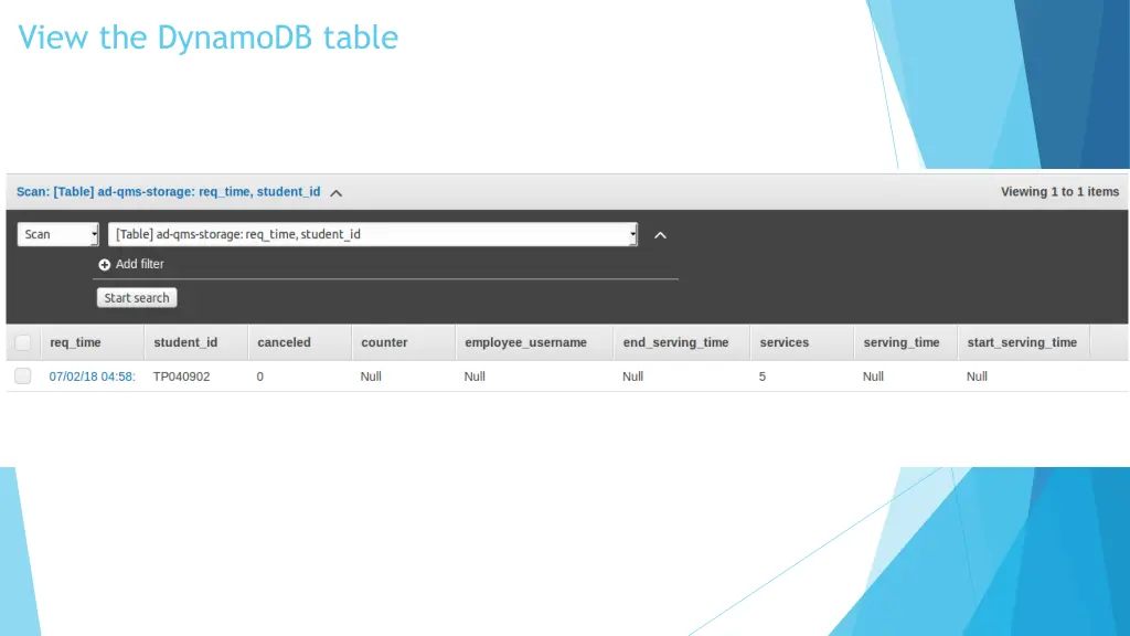view the dynamodb table